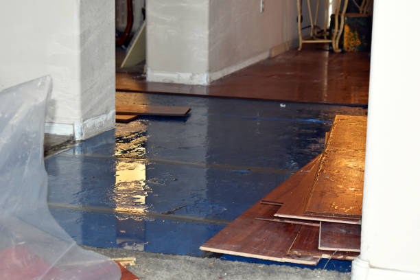 Professional Flood Damage Repair technician working in Oakley, MI
